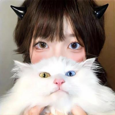 当狗爱上猫粤语